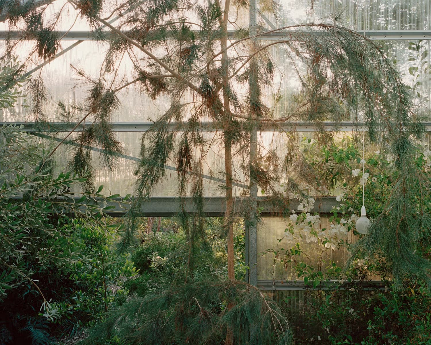 Image 6